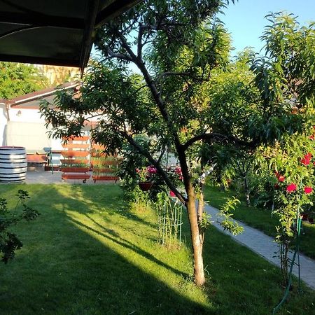 Apartamento Casa Ienciu Sibiu Exterior foto