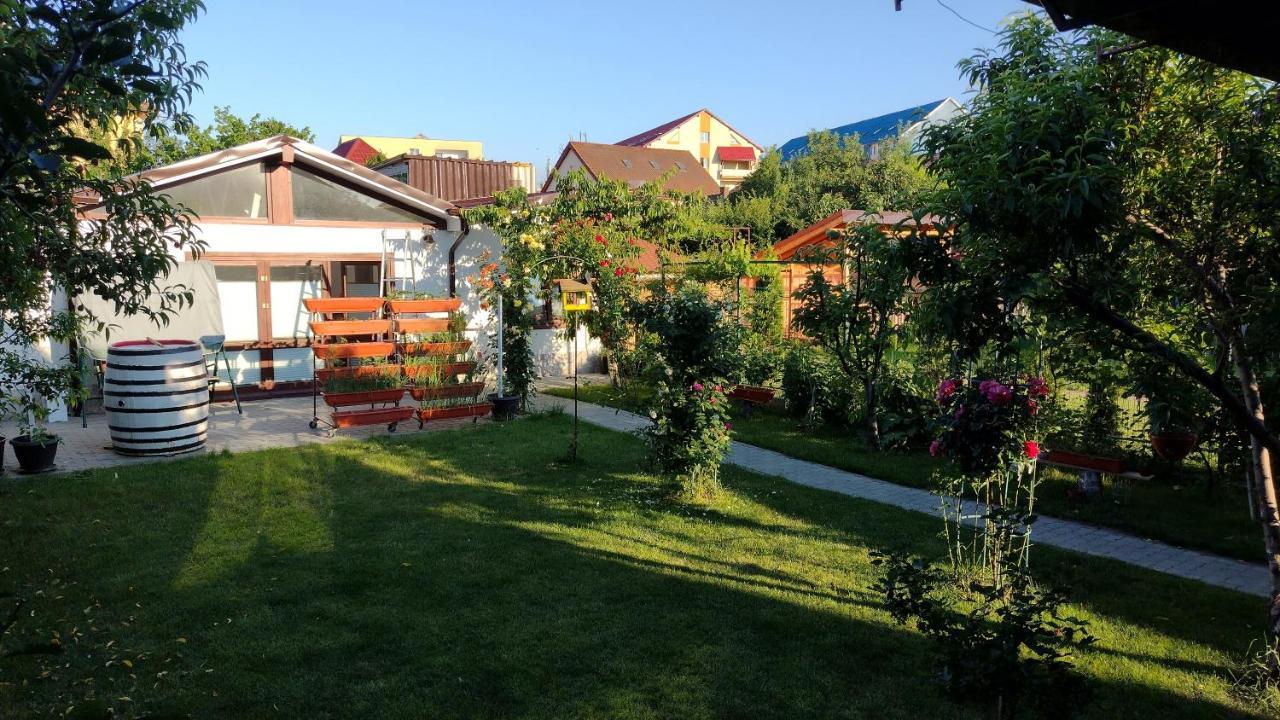 Apartamento Casa Ienciu Sibiu Exterior foto