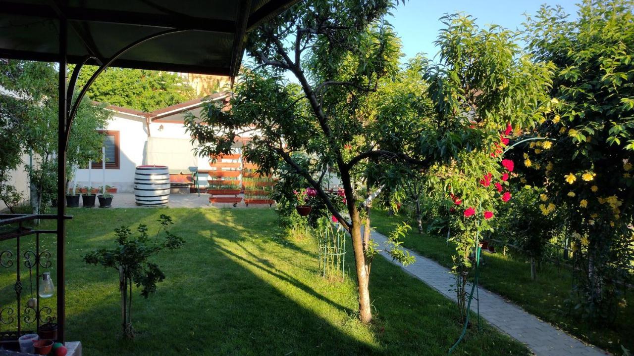Apartamento Casa Ienciu Sibiu Exterior foto